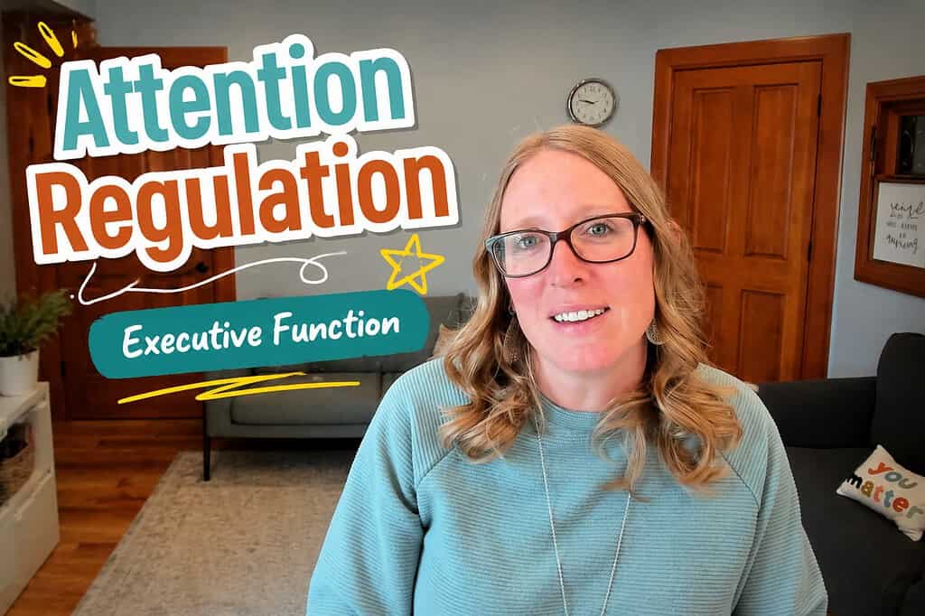 attention-regulation-executive-function-colorado-springs